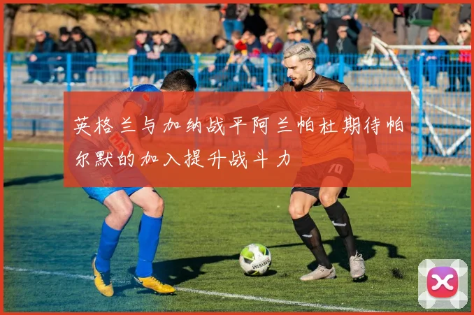 英格兰与加纳战平阿兰帕杜期待帕尔默的加入提升战斗力