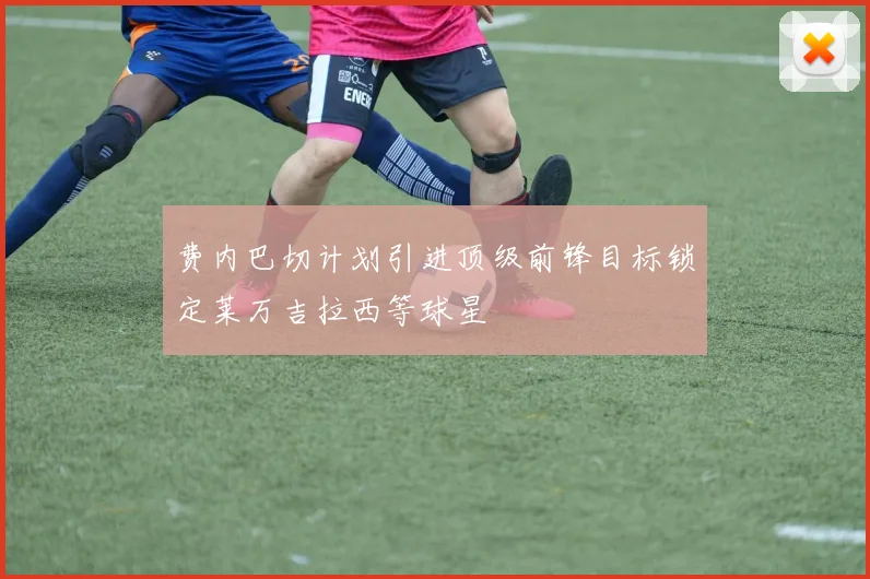 费内巴切计划引进顶级前锋目标锁定莱万吉拉西等球星