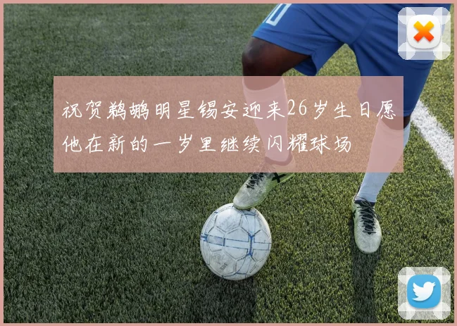 祝贺鹈鹕明星锡安迎来26岁生日愿他在新的一岁里继续闪耀球场